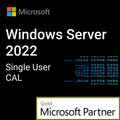 Windows Server 2022, 1 User CAL